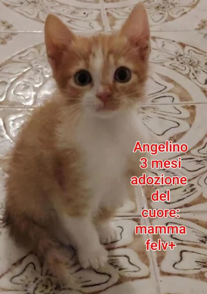 micini invisibili ed esclusi da chiunque