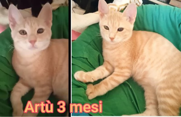 micini invisibili ed esclusi da chiunque | Foto 3