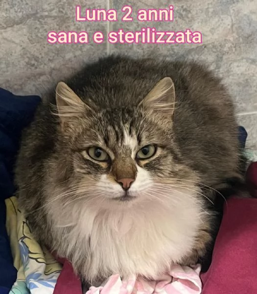 micini invisibili ed esclusi da chiunque | Foto 5