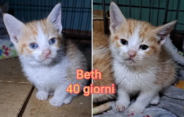 micini invisibili ed esclusi da chiunque | Foto 5