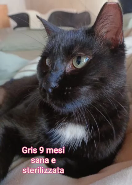 micini invisibili ed esclusi da chiunque | Foto 4