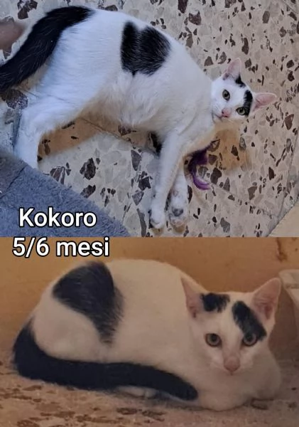 micini invisibili ed esclusi da chiunque | Foto 2
