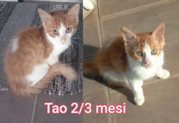 micini invisibili ed esclusi da chiunque