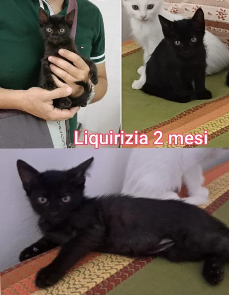 micini invisibili ed esclusi da chiunque | Foto 2