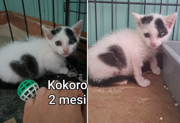 micini invisibili ed esclusi da chiunque | Foto 3