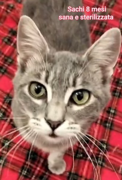 micini invisibili ed esclusi da chiunque