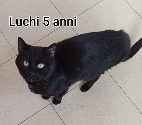 micini invisibili ed esclusi da chiunque | Foto 4