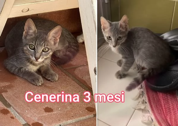 micini invisibili ed esclusi da chiunque | Foto 1