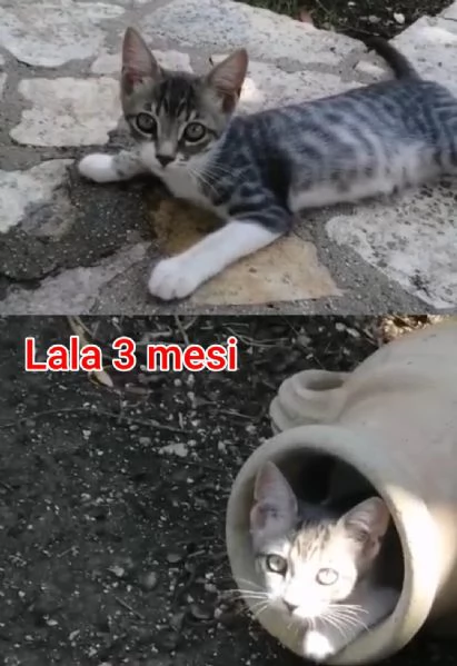 micini invisibili ed esclusi da chiunque | Foto 0