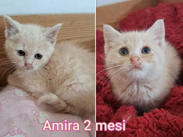 micini invisibili ed esclusi da chiunque | Foto 1