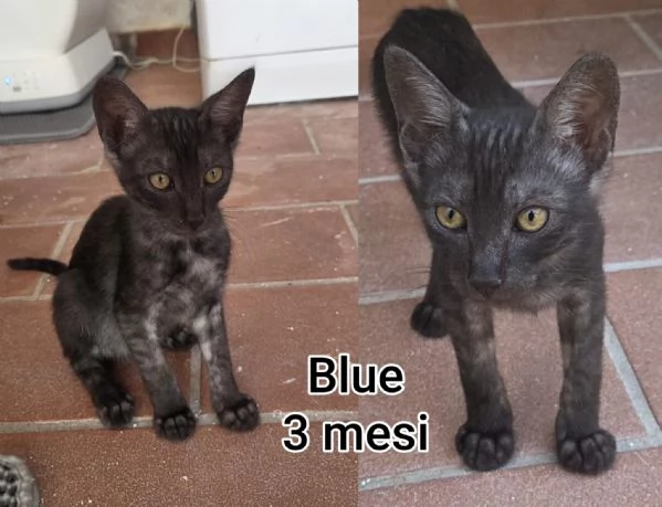 micini invisibili ed esclusi da chiunque | Foto 0