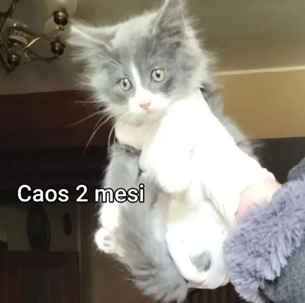 micini invisibili ed esclusi da chiunque