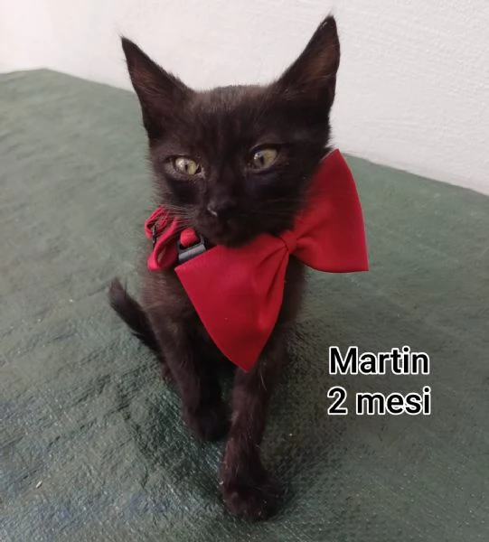 micini invisibili ed esclusi da chiunque | Foto 2