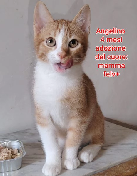 micini invisibili ed esclusi da chiunque | Foto 0