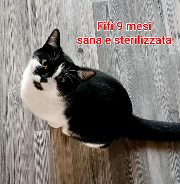 MICINI GETTATI COME SPAZZATURA | Foto 4