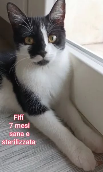 MICINI GETTATI COME SPAZZATURA | Foto 0