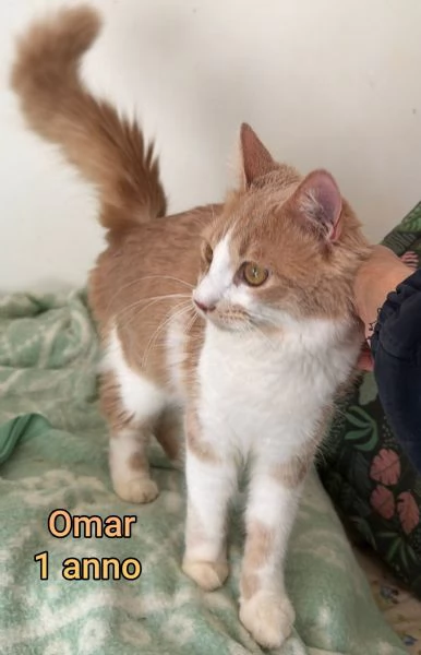 MICINI GETTATI COME SPAZZATURA | Foto 0