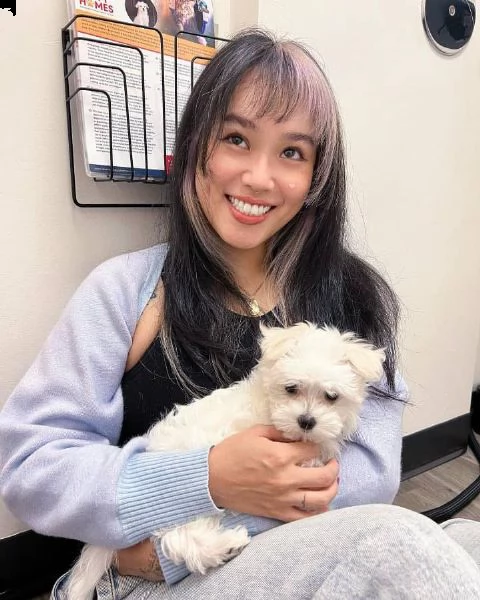 due cuccioli maltesi teacup hanno bisogno urgentemente di una nuova famiglia questi splendidi cuccio | Foto 1