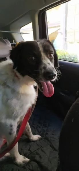 JACK solo 1 anno e 4 mesi | Foto 3