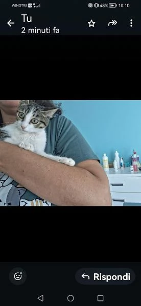 PICCOLO MICETTO DI APPENA 5 MESI DOLCE E BUONO | Foto 2