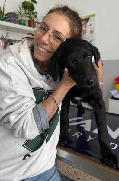 COCO 5 mesi simil labrador carattere splendido | Foto 4