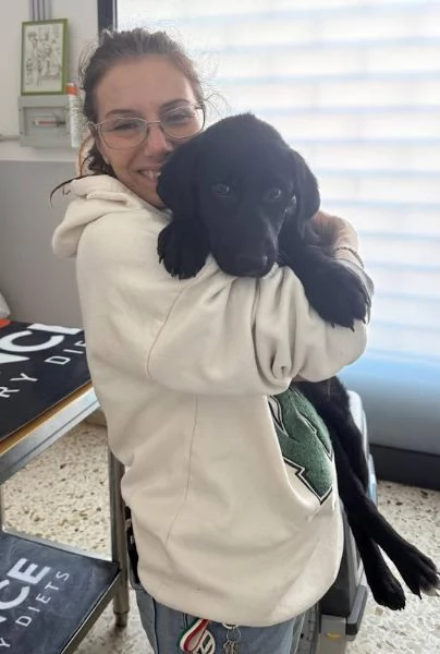 COCO 5 mesi simil labrador carattere splendido | Foto 0