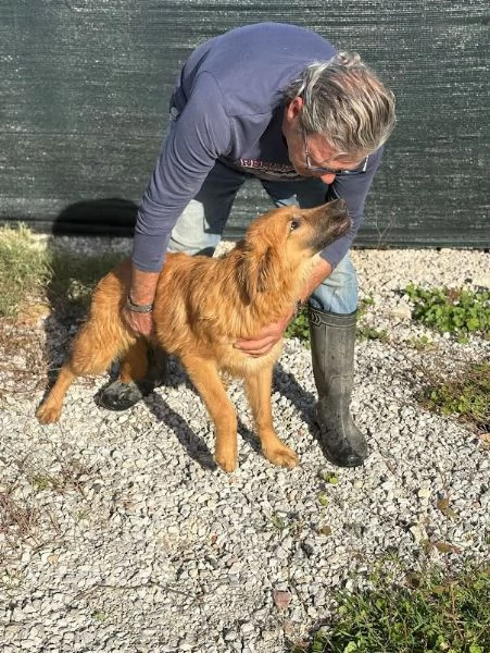 NINA 10 mesi bellissima dolce e buonissima | Foto 0