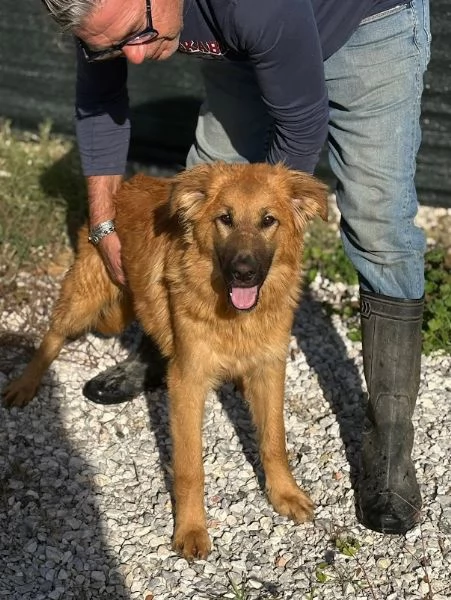 NINA 10 mesi bellissima dolce e buonissima