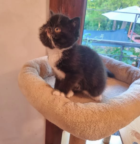 In cerca di puro amore  | Foto 0