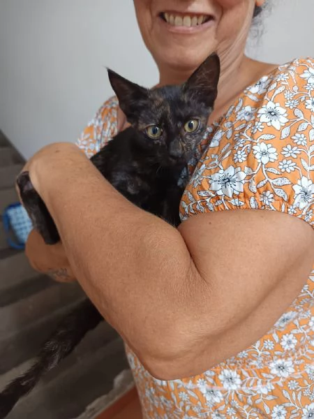 Luna gattina di tre mesi in adozione  | Foto 3
