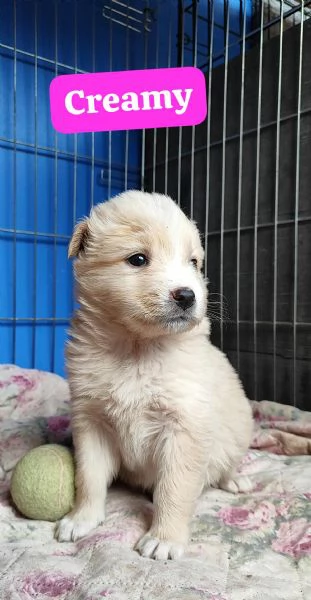 Creamy cerca casa | Foto 2