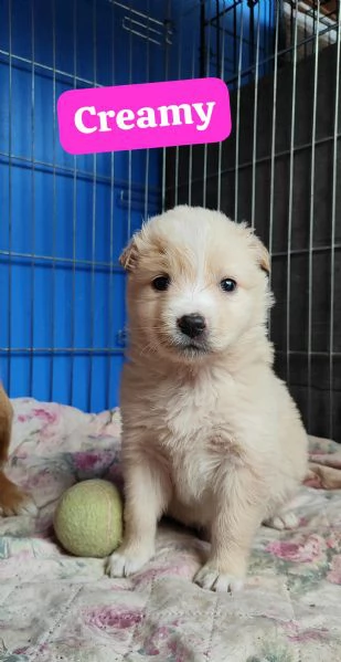 Creamy cerca casa | Foto 0