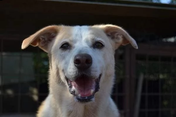 bella, 10 anni sogna il suo riscatto