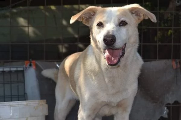 bella, 10 anni sogna il suo riscatto | Foto 1