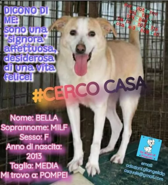 bella, 10 anni sogna il suo riscatto | Foto 0
