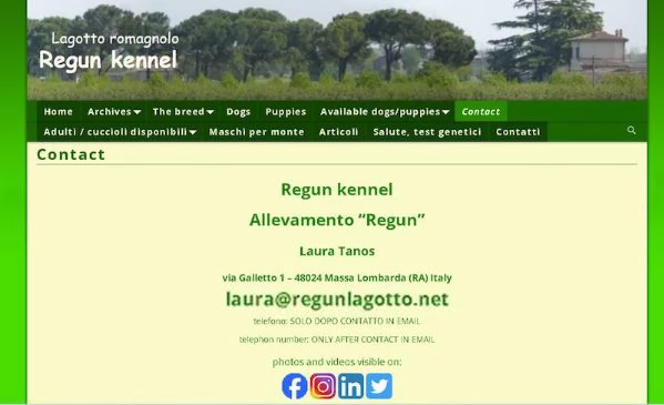 Lagotto romagnolo  cuccioli | Foto 1