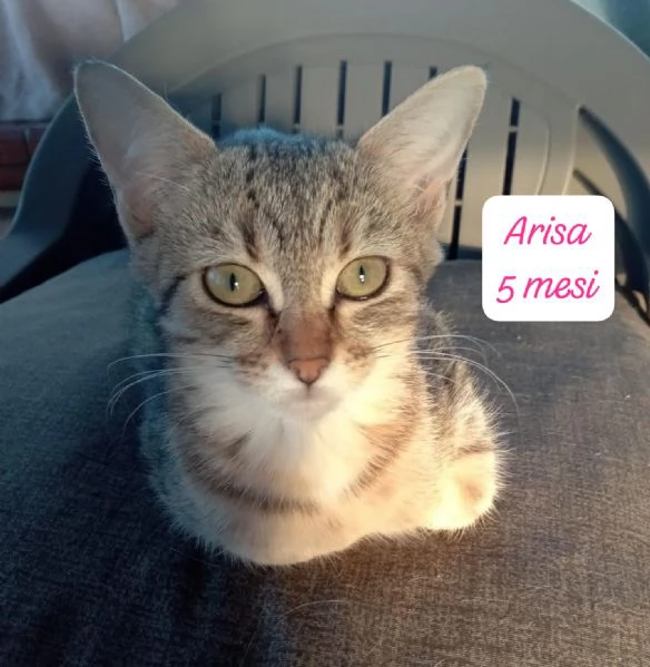 BISOGNA SALVARE QUESTI MICINI | Foto 4