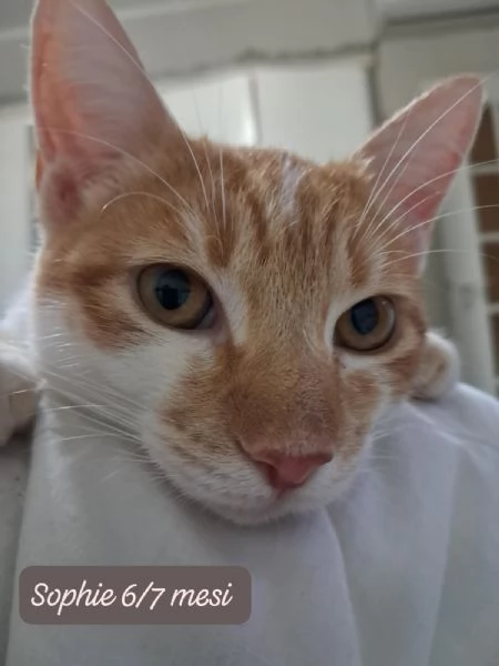 BISOGNA SALVARE QUESTI MICINI