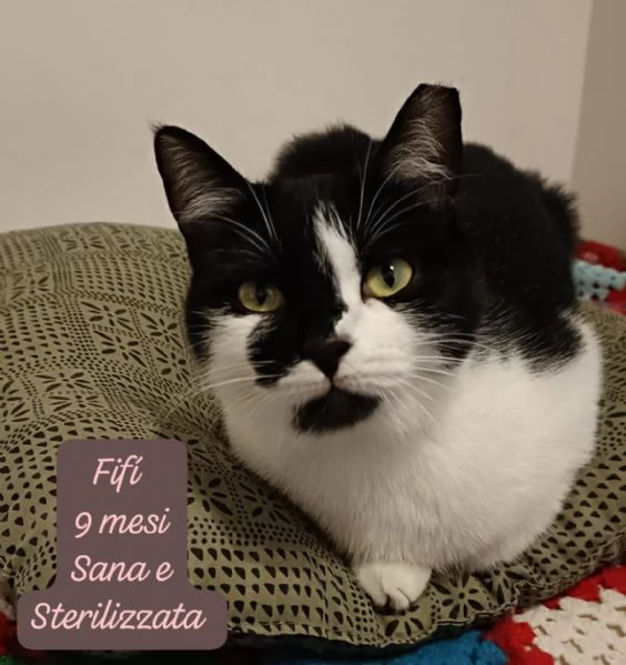 BISOGNA SALVARE QUESTI MICINI