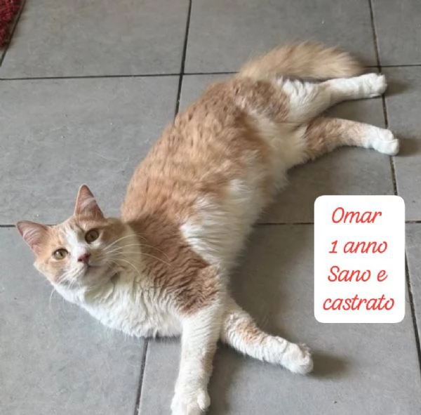 BISOGNA SALVARE QUESTI MICINI