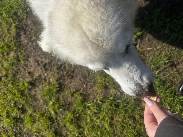 Vittoria la maremmana che sorride | Foto 3