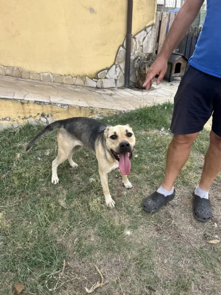 Penelope | Foto 2