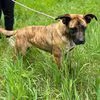 RUNA MERAVIGLIOSA MIX BOXER | Foto 1
