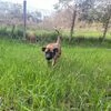 RUNA MERAVIGLIOSA MIX BOXER | Foto 0