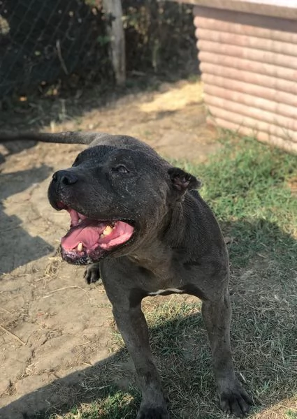  Bambacione il nome adatto a lui | Foto 0
