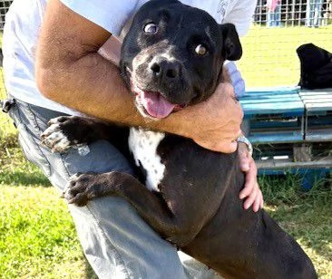 JESSY un cuore di pitt | Foto 5