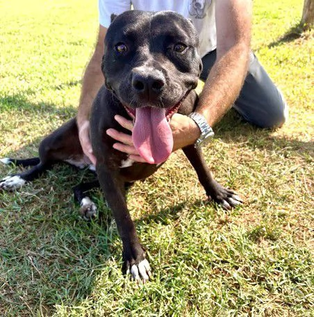 JESSY un cuore di pitt | Foto 2