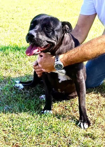 JESSY un cuore di pitt | Foto 0