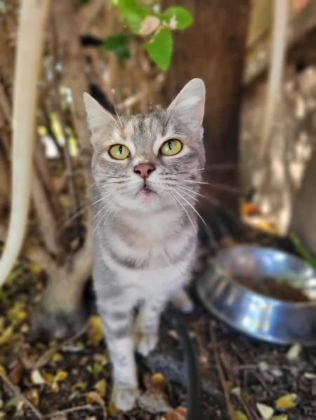 Mitzi | Foto 1