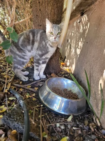 Mitzi | Foto 0